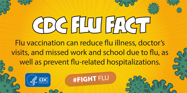 CDC flu fact