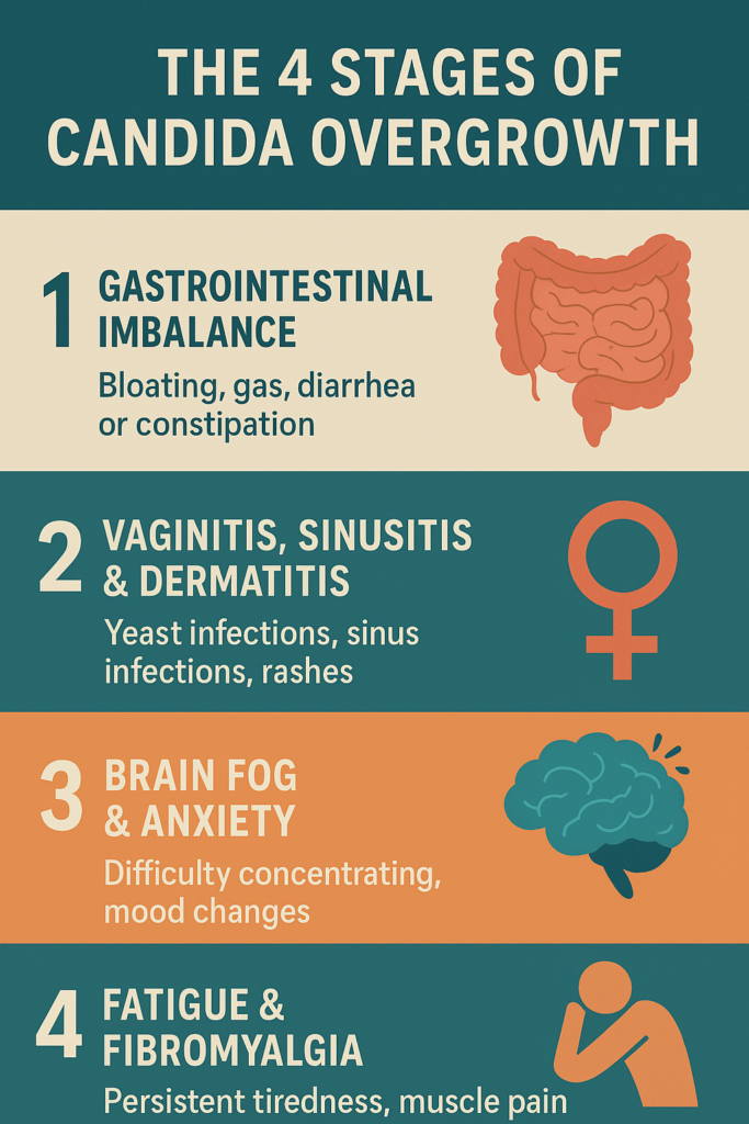 4 stages of candida overgrowth infographic