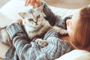 Girl playing with cat