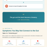 auto brewery syndrome explaind why you feel drunk without drinking infographic