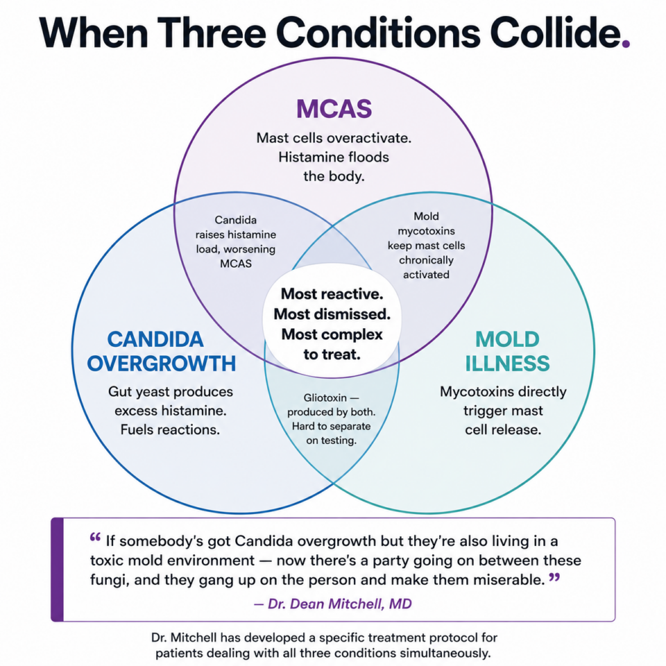 Can MCAS, Candida Overgrowth, and Mold Illness Happen at the Same Time