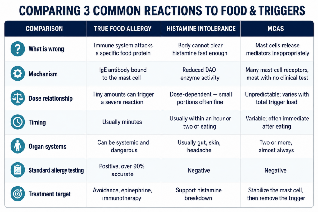 comparing 3 common reactions to food and triggers