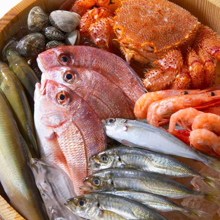 shellfish-allergy-doctor