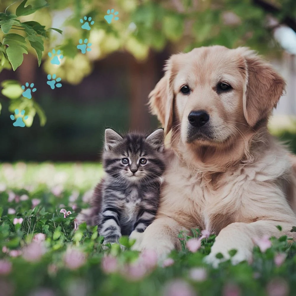 dog and cat allergy treatment
